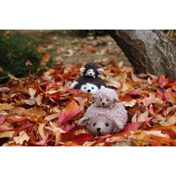 Hedgehog Family - DK