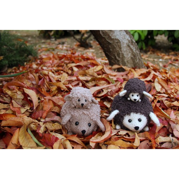 Hedgehog Family - DK