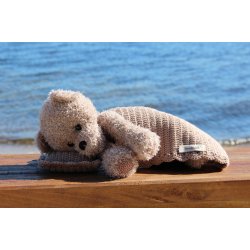 Teddy w/ planket &amp; pillow (Basse) - NO