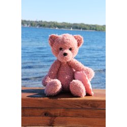 Teddy w/blanket &amp; pillow (Trunte) - DE