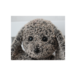 Bastian &amp; Lady - FR