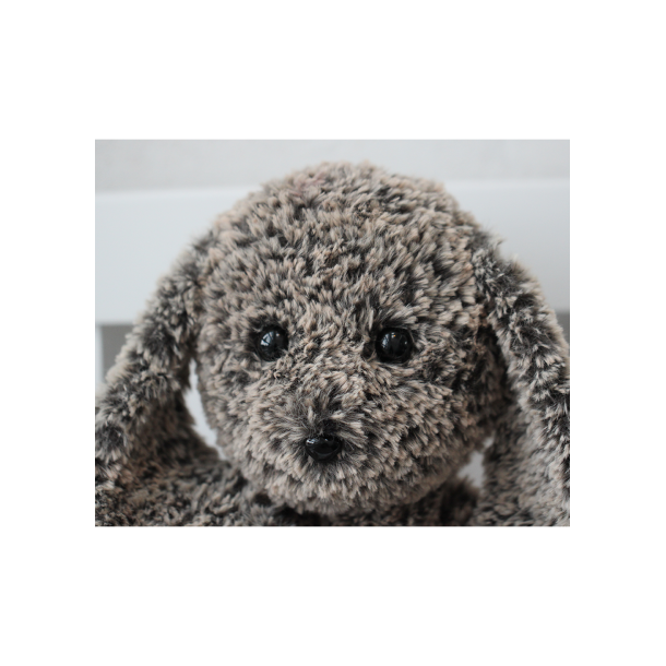 Bastian &amp; Lady - FR