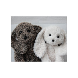 Bastian &amp; Lady - FR