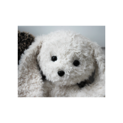 Bastian &amp; Lady - FR