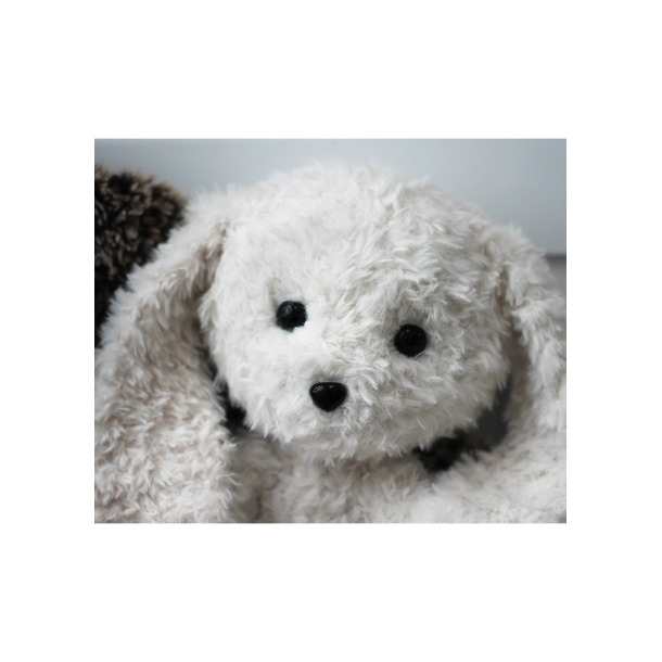 Bastian &amp; Lady - FR