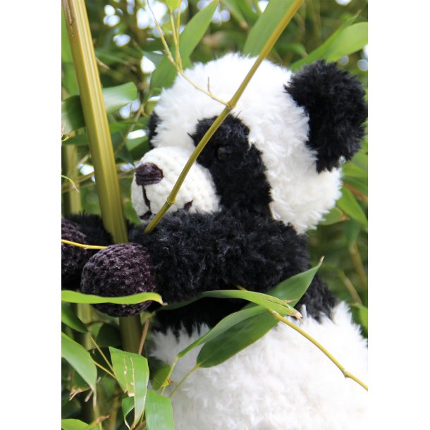 Pandas - Inus &amp; Baby Nusi