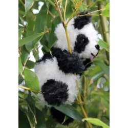 Pandas - Inus &amp; Baby Nusi