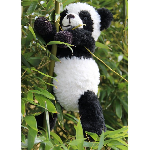 Pandas - Inus &amp; Baby Nusi