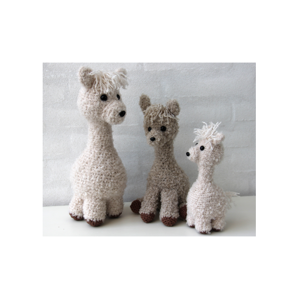 Alpaca family - FR