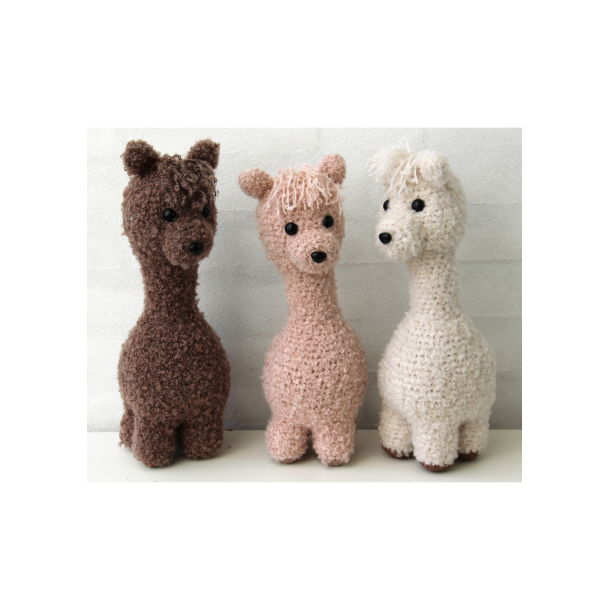 Alpaca family - FR