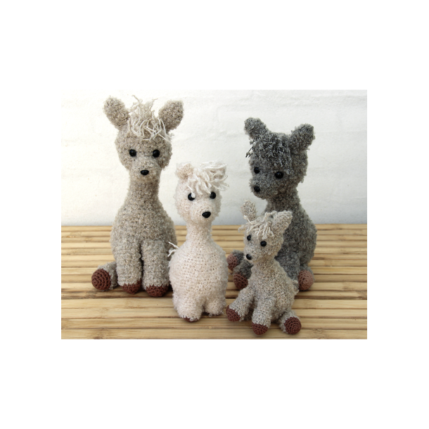 Alpaca family - FR