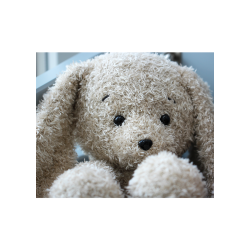 Couture Bunnies - FR