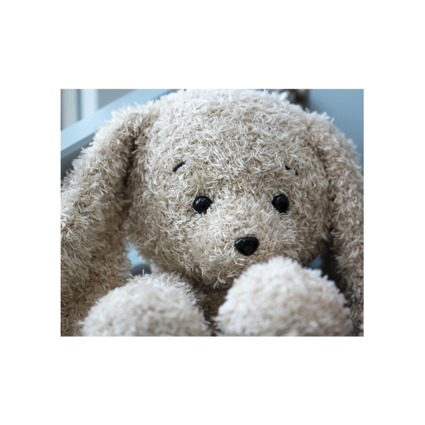 Couture Bunnies - FR