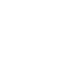 Video guides